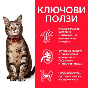 HILL’S Adult Chicken 85 гр