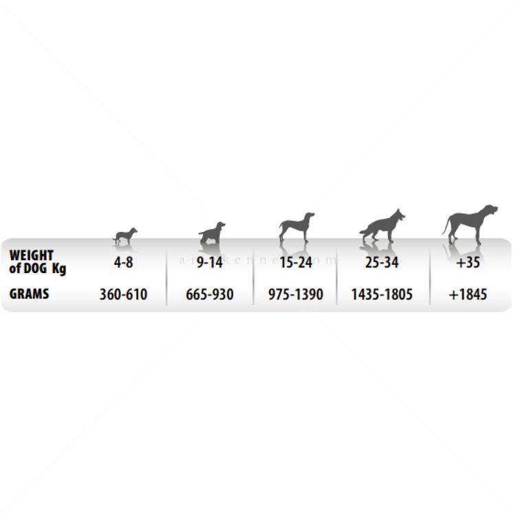 Пастет със заешко месо и ябълка MONGE Superpremium Monoprotein Terrine Adult Fruit Pate Rabbit with apple