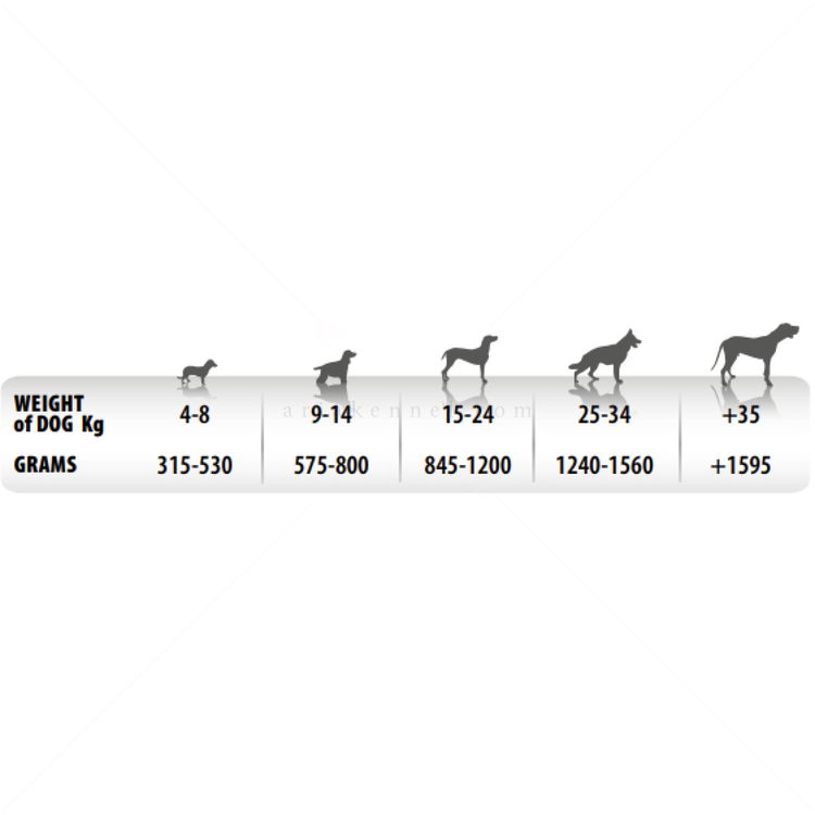 Пастет с пуешко месо и цитрусови плодове MONGE Superpremium Monoprotein Terrine Adult Fruit Pate Turkey with citrus fruits