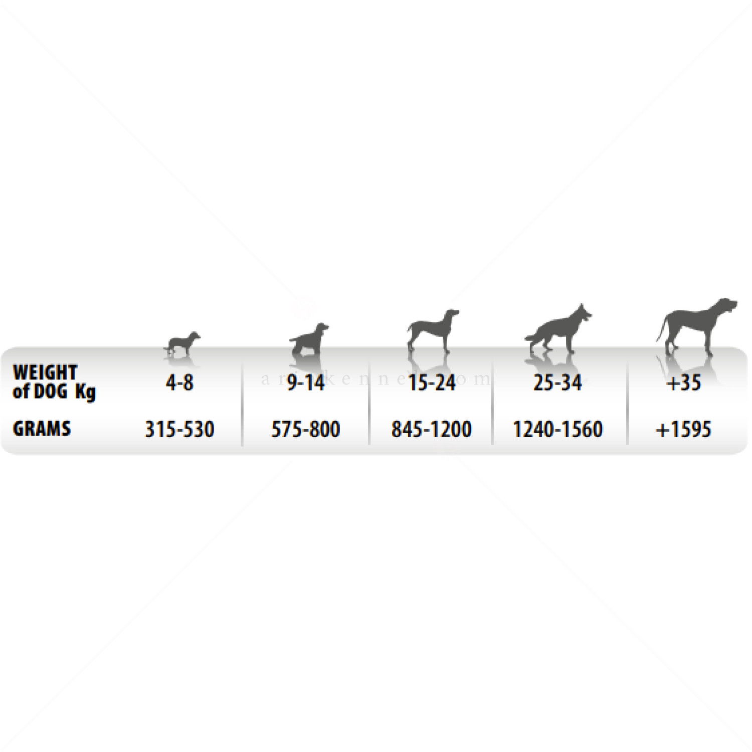 Пастет с пуешко месо и цитрусови плодове MONGE Superpremium Monoprotein Terrine Adult Fruit Pate Turkey with citrus fruits