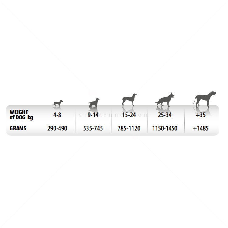 Консерва пастет със 100% свинско месо MONGE Superpremium Monoprotein Dog Pate Adult Pork