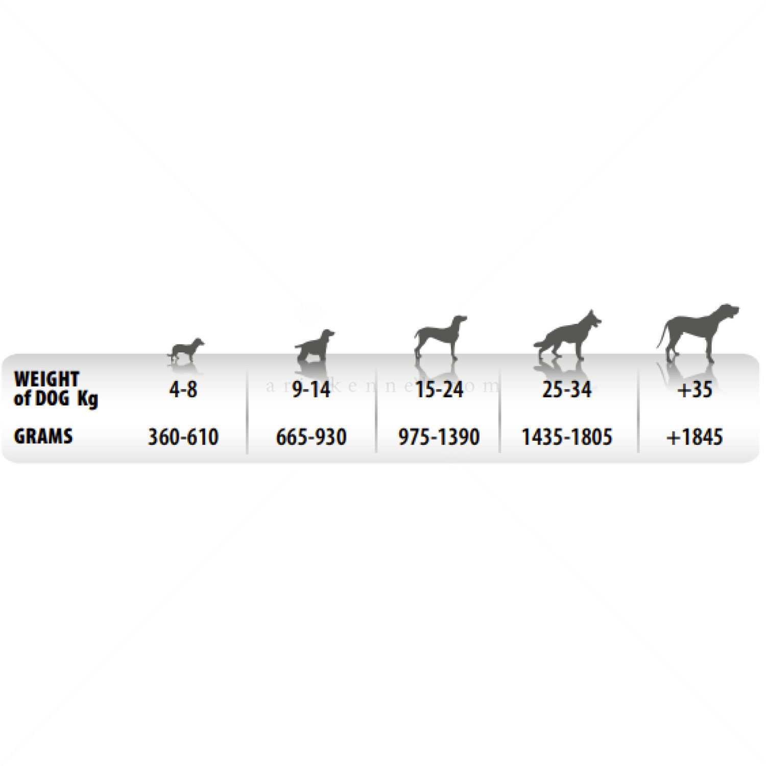 Консерва пастет със заешко месо и ябълка MONGE Superpremium Monoprotein Dog Fruit Pate Adult Rabbit with apple