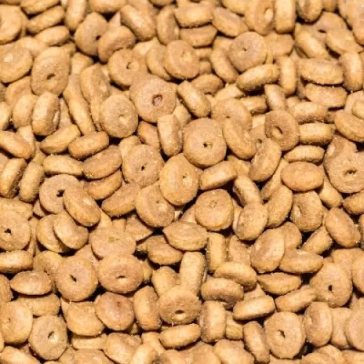 REFLEX PLUS 1.5 кг Adult Salmon, със сьомга