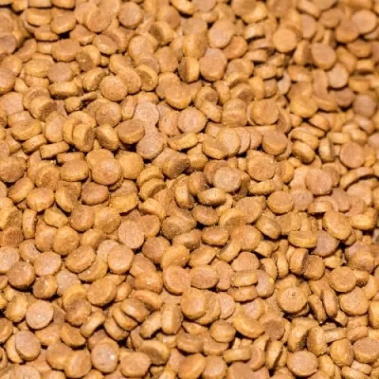 REFLEX PLUS 15 кг Urinary Chicken, с пилешко месо