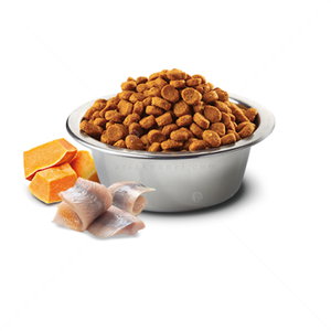 N&D Ocean Cat 0.300 кг. Pumpkin Herring Adult
