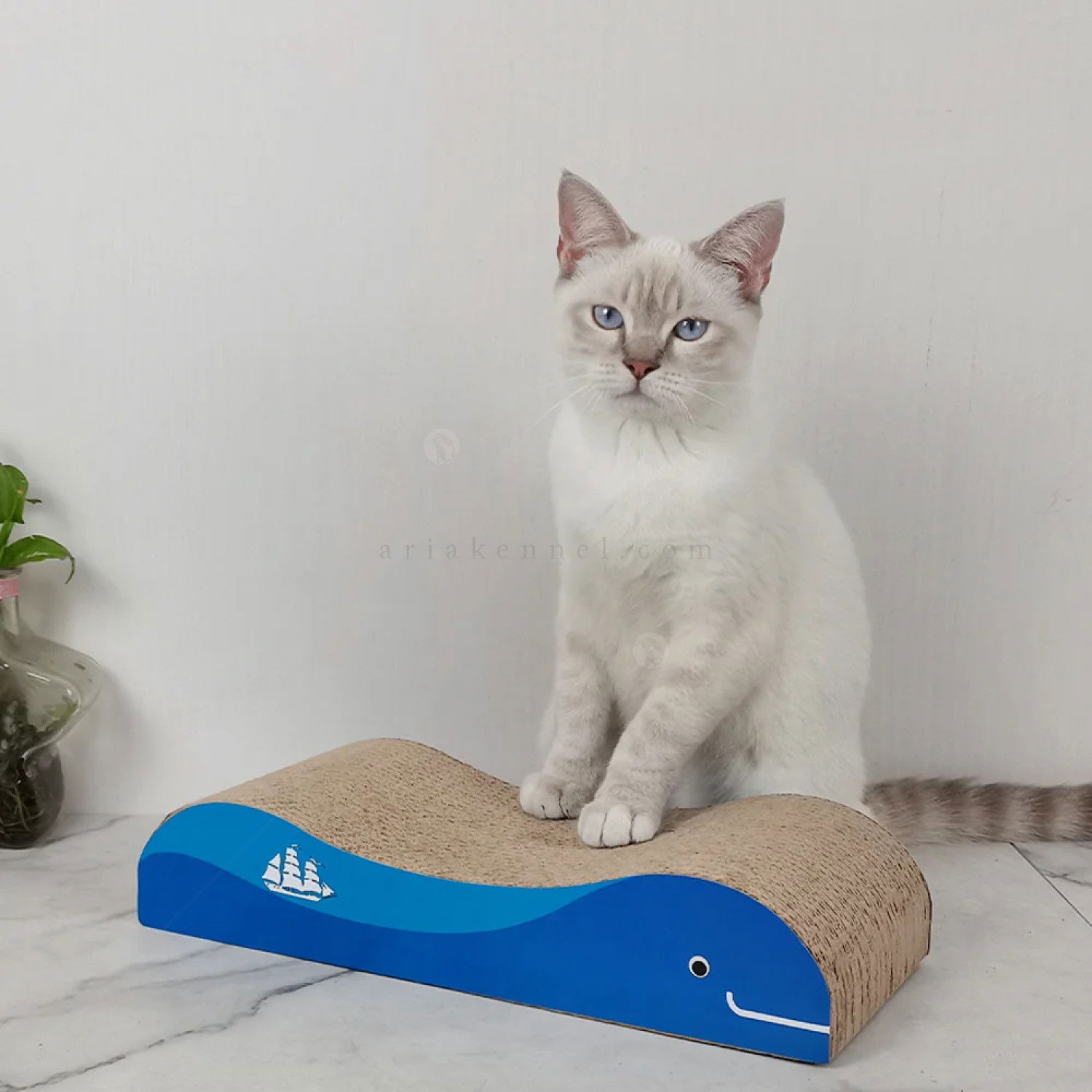 Вълнообразно драскало от картон ANIPRO, синьо