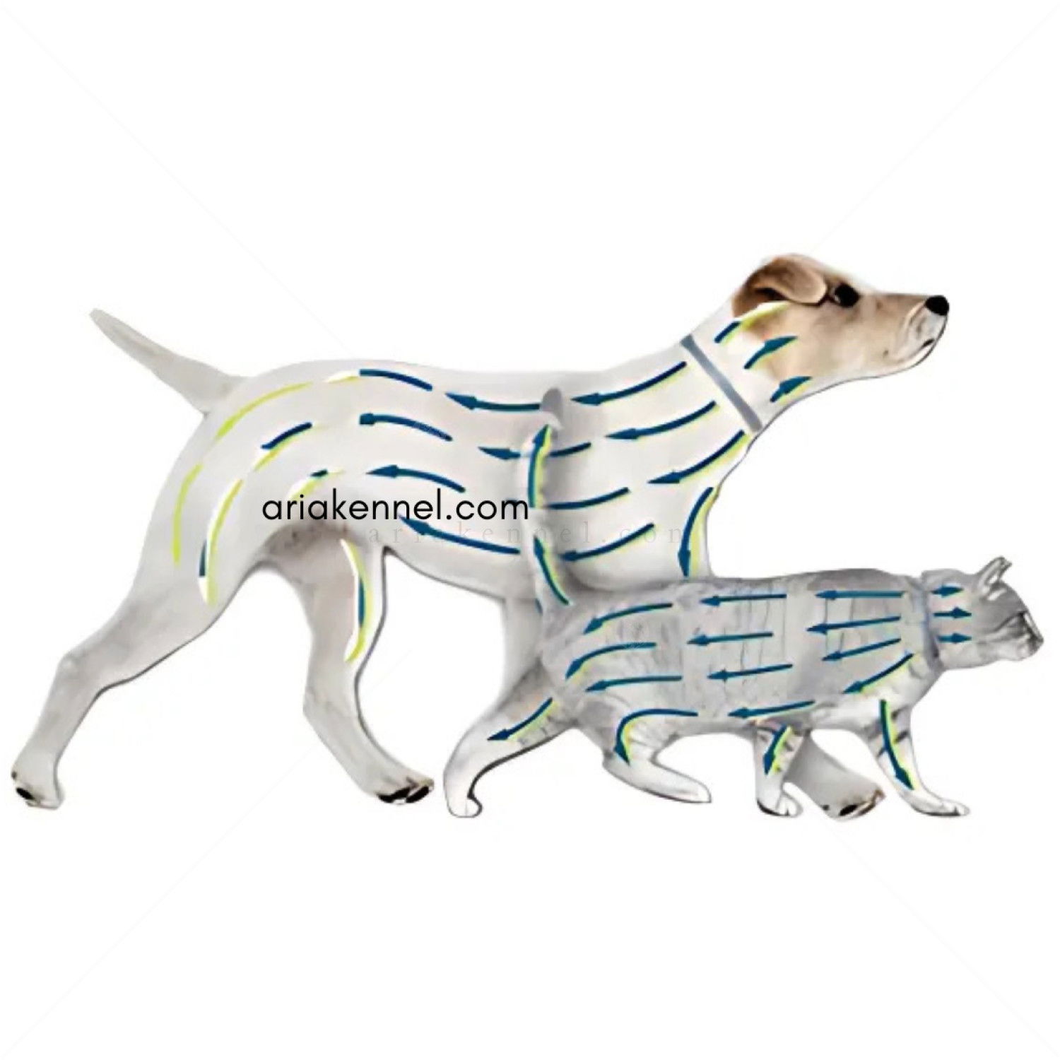 Противопаразитна каишка за куче и котка FORESTO 38 см