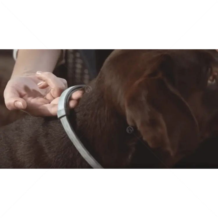 Противопаразитна каишка за куче FORESTO 70 см