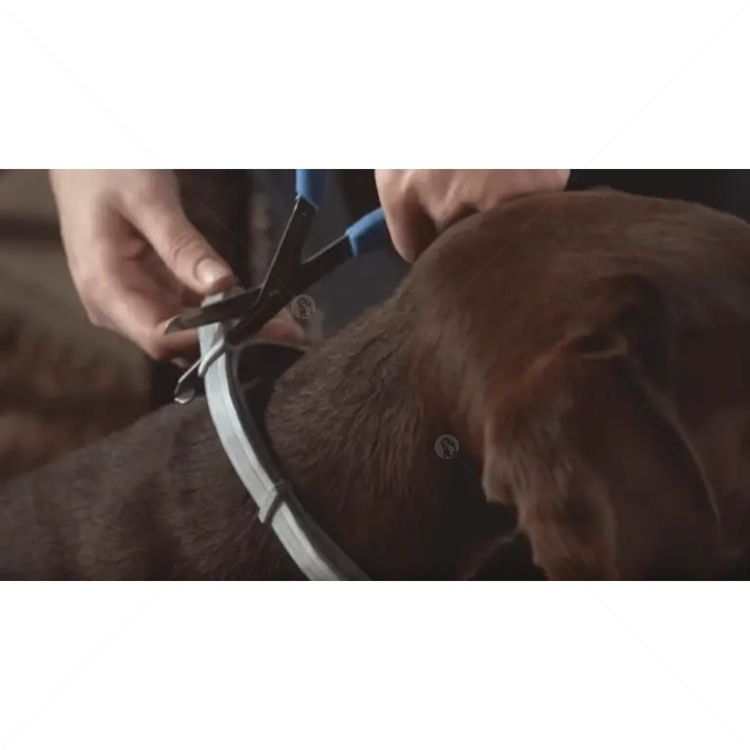 Противопаразитна каишка за куче FORESTO 70 см