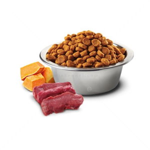 N&D Cat 1.500 кг. Pumpkin Venison Adult