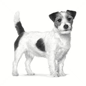 ROYAL CANIN Veterinary Dog Dental Small Dog 1.500 кг