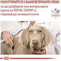 ROYAL CANIN Veterinary Dog Hypoallergenic 400 гр
