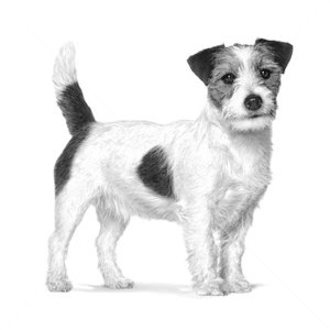 ROYAL CANIN Veterinary Dog Calm Small Dog 4 кг