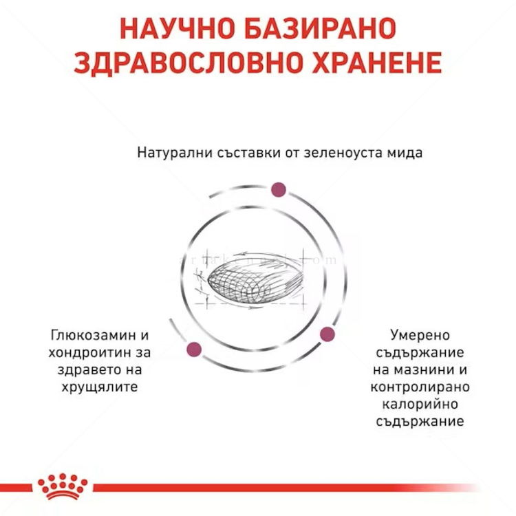 ROYAL CANIN Veterinary Dog Mobility Support 7 кг