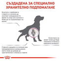 ROYAL CANIN Veterinary Dog Mobility Support 2 кг