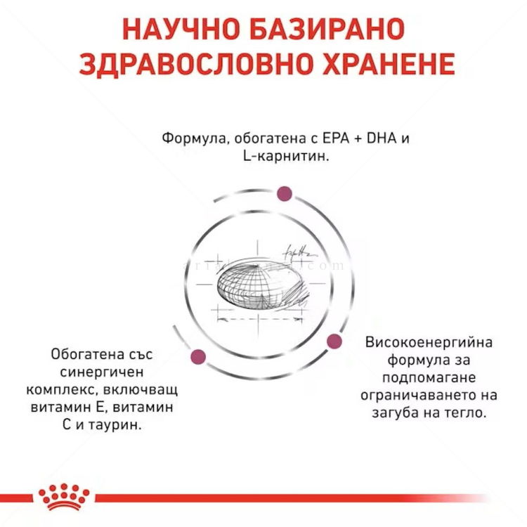 ROYAL CANIN Veterinary Dog Cardiac 14 кг