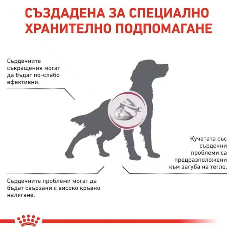 ROYAL CANIN Veterinary Dog Cardiac 14 кг