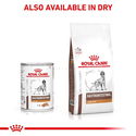 ROYAL CANIN Veterinary Dog Gastrointestinal Low Fat 420 гр