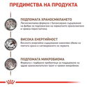 ROYAL CANIN Veterinary Dog Gastrointestinal 400 гр