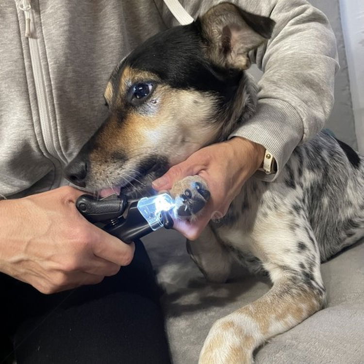 Клещи за нокти с LED светлина и пила, PURLOV