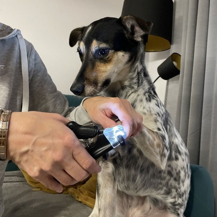 Клещи за нокти с LED светлина и пила, PURLOV