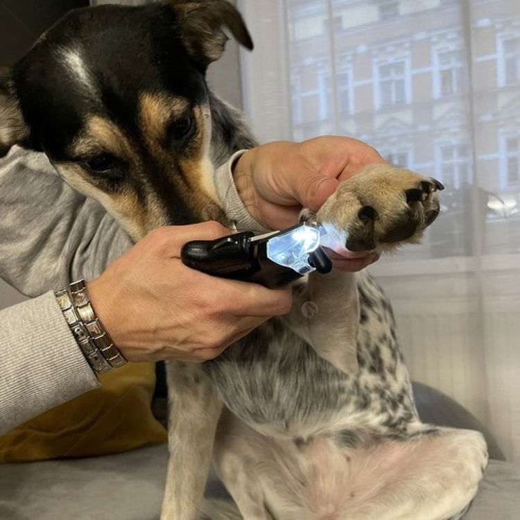 Клещи за нокти с LED светлина и пила, PURLOV