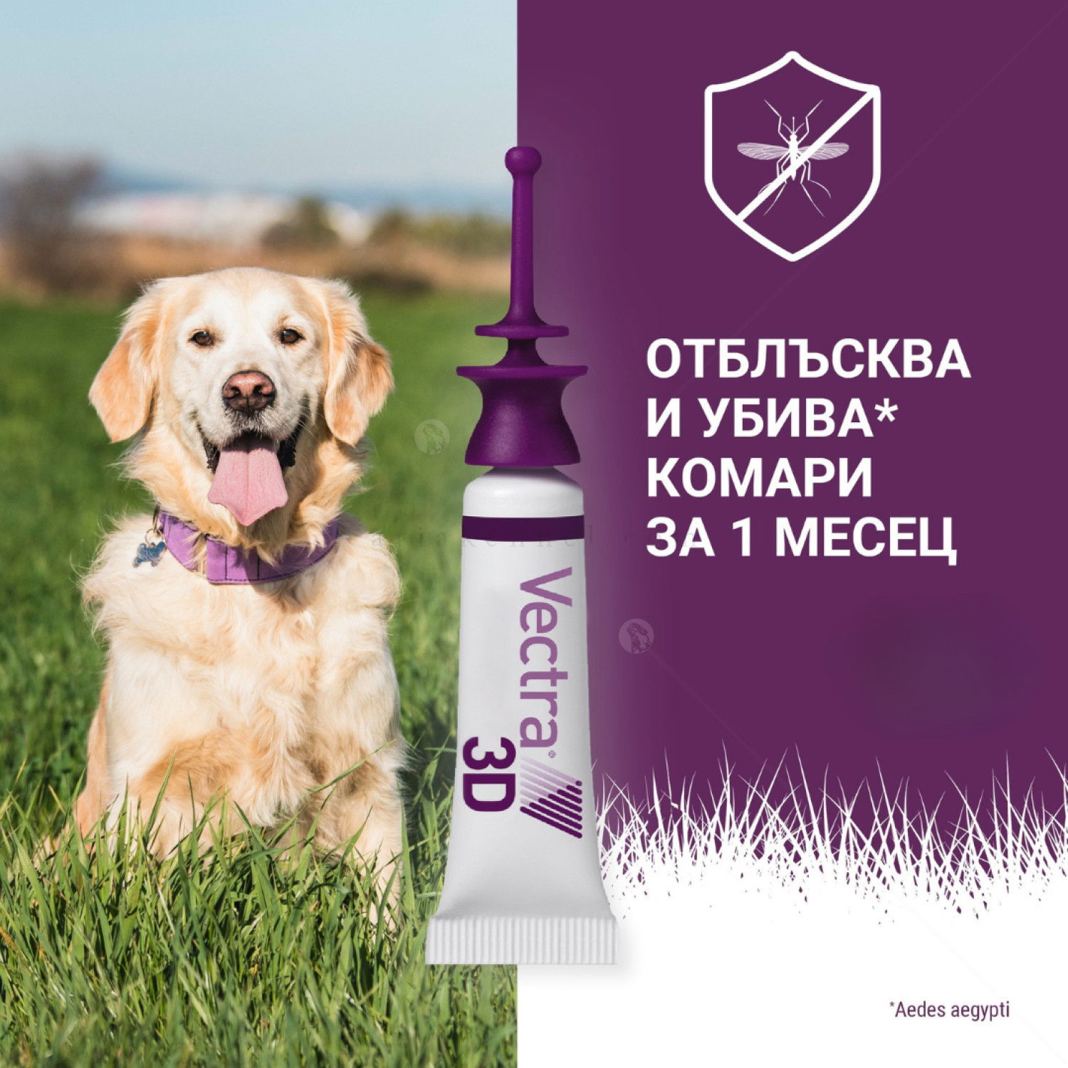 Пипети за външно обезпаразитяване VECTRA 3D 3x0.8 мл