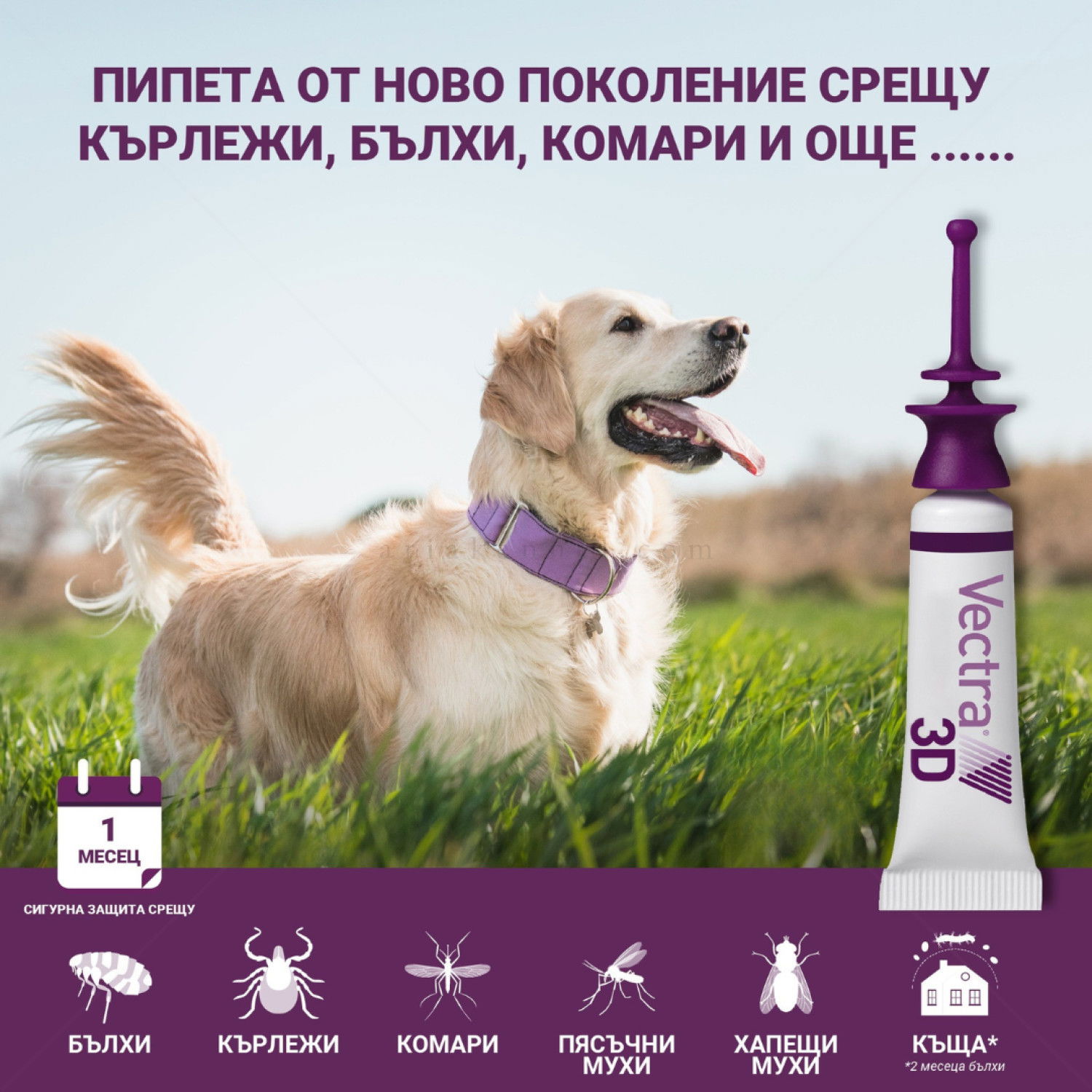 Пипети за външно обезпаразитяване VECTRA 3D 3x8 мл