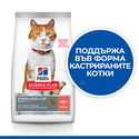 HILL’S SP 0.300 кг Adult Sterilised Salmon