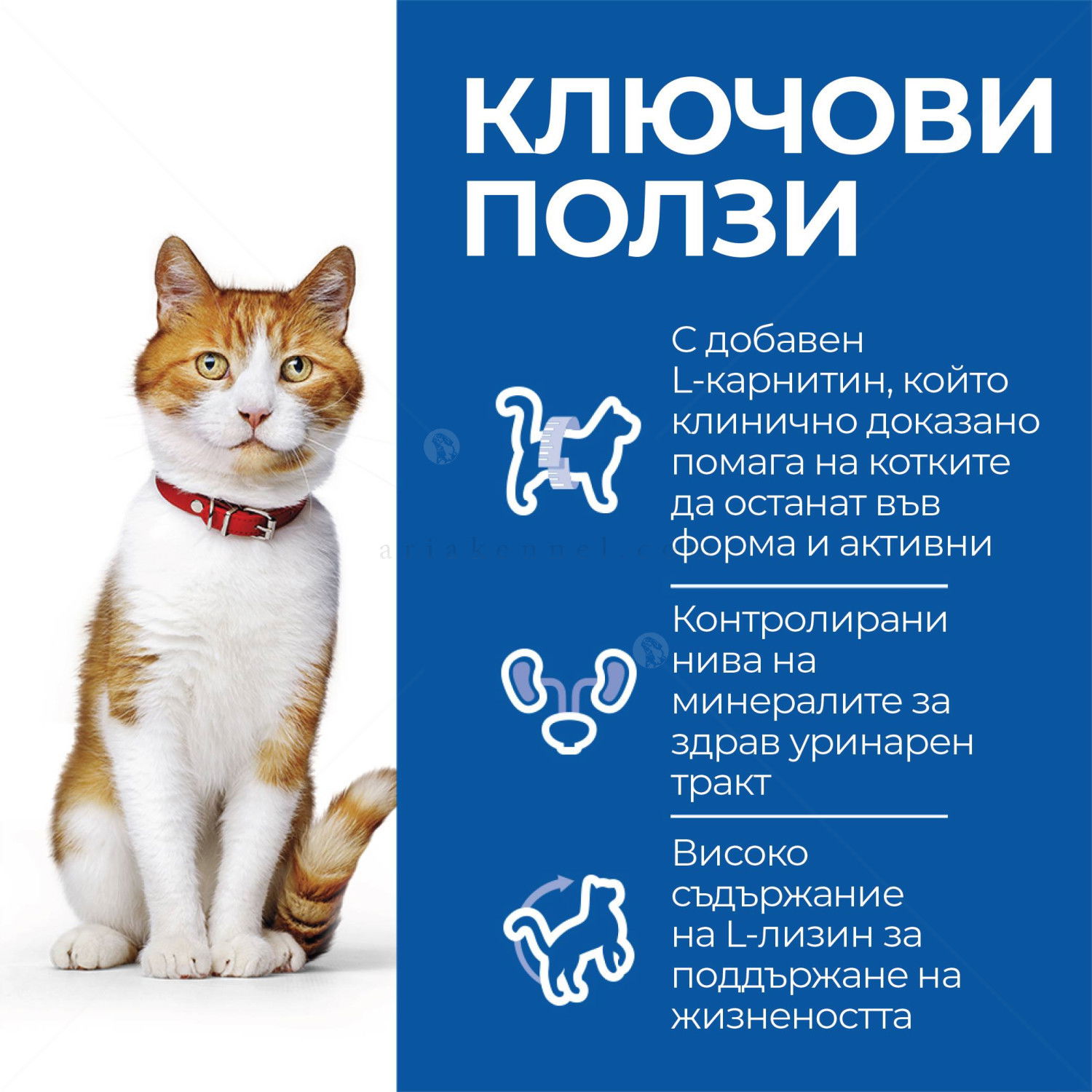 HILL’S SP 10 кг Adult Sterilised Salmon