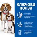HILL’S Science Plan 200 гр Puppy&Mother Mousse Chicken
