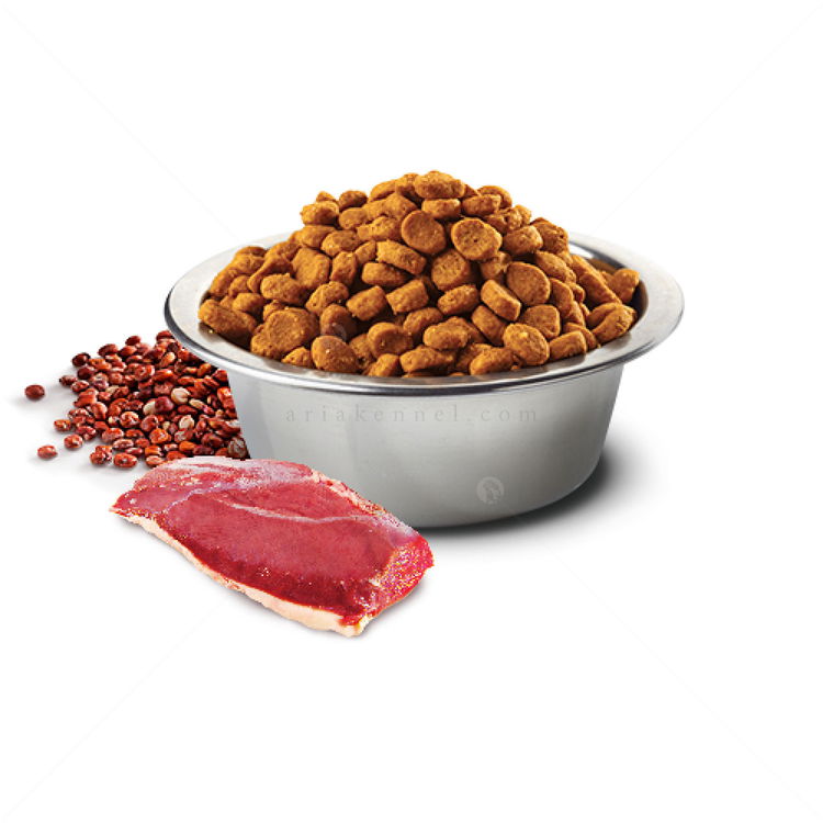 N&D Dog 7 кг Quinoa Medium&Maxi Skin&Coat Duck, coconut and tumeric
