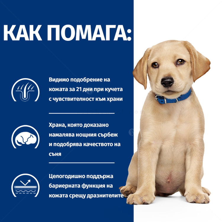 HILL'S Prescription Diet Canine Derm Complete Puppy Eggs&Rice 1.500 кг