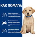 HILL'S Prescription Diet Canine Derm Complete Puppy Eggs&Rice 1.500 кг