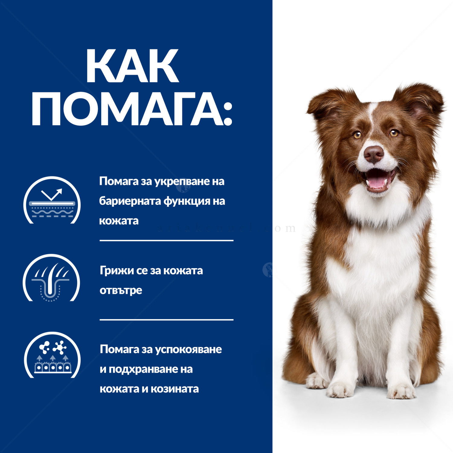 HILL'S Prescription Diet Canine Derm Defence 12 кг