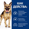 HILL'S Prescription Diet Canine Gastrointestinal Biome 10 кг