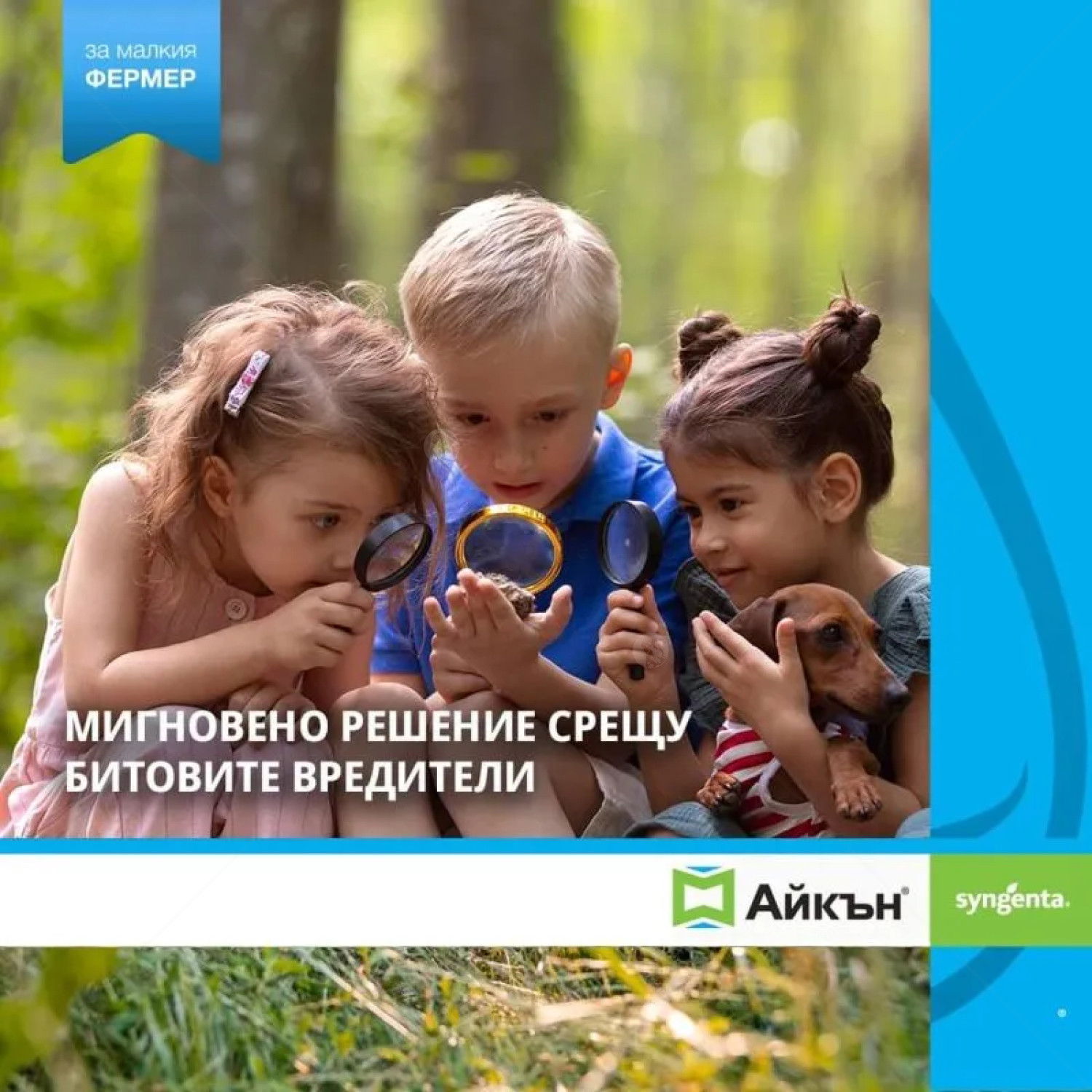 АЙКЪН 10 KC Препарат 250 мл против кърлежи, бълхи и други насекоми