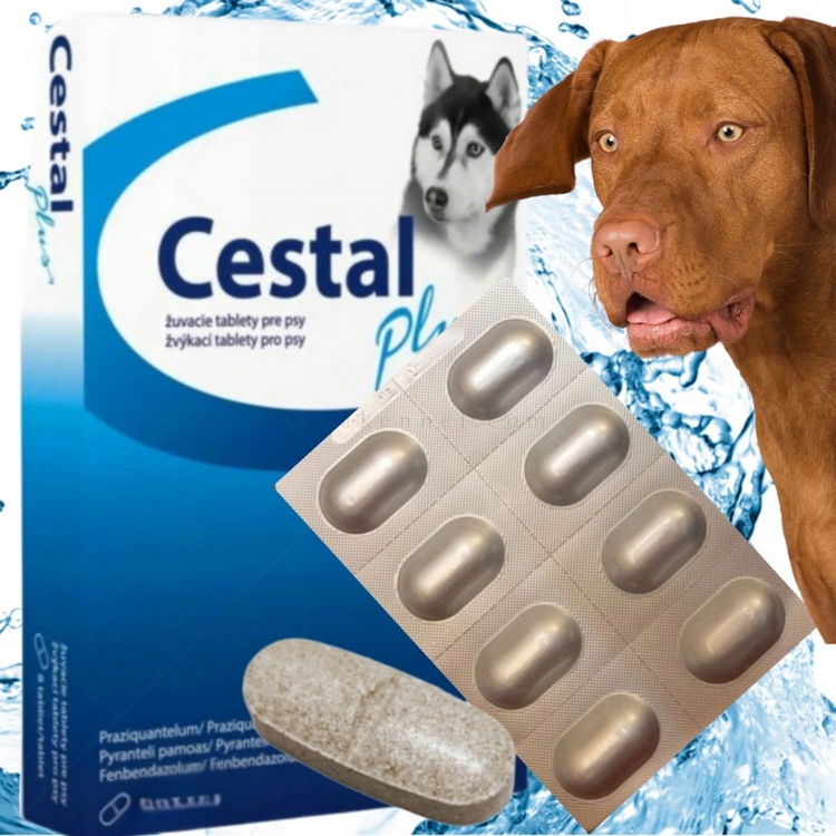 Дъвчащи таблетки за вътрешно обезпаразитяване CESTAL Plus за куче