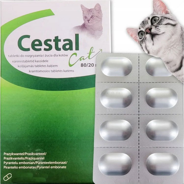 Таблетки за вътрешно обезпаразитяване за котка CESTAL Cat