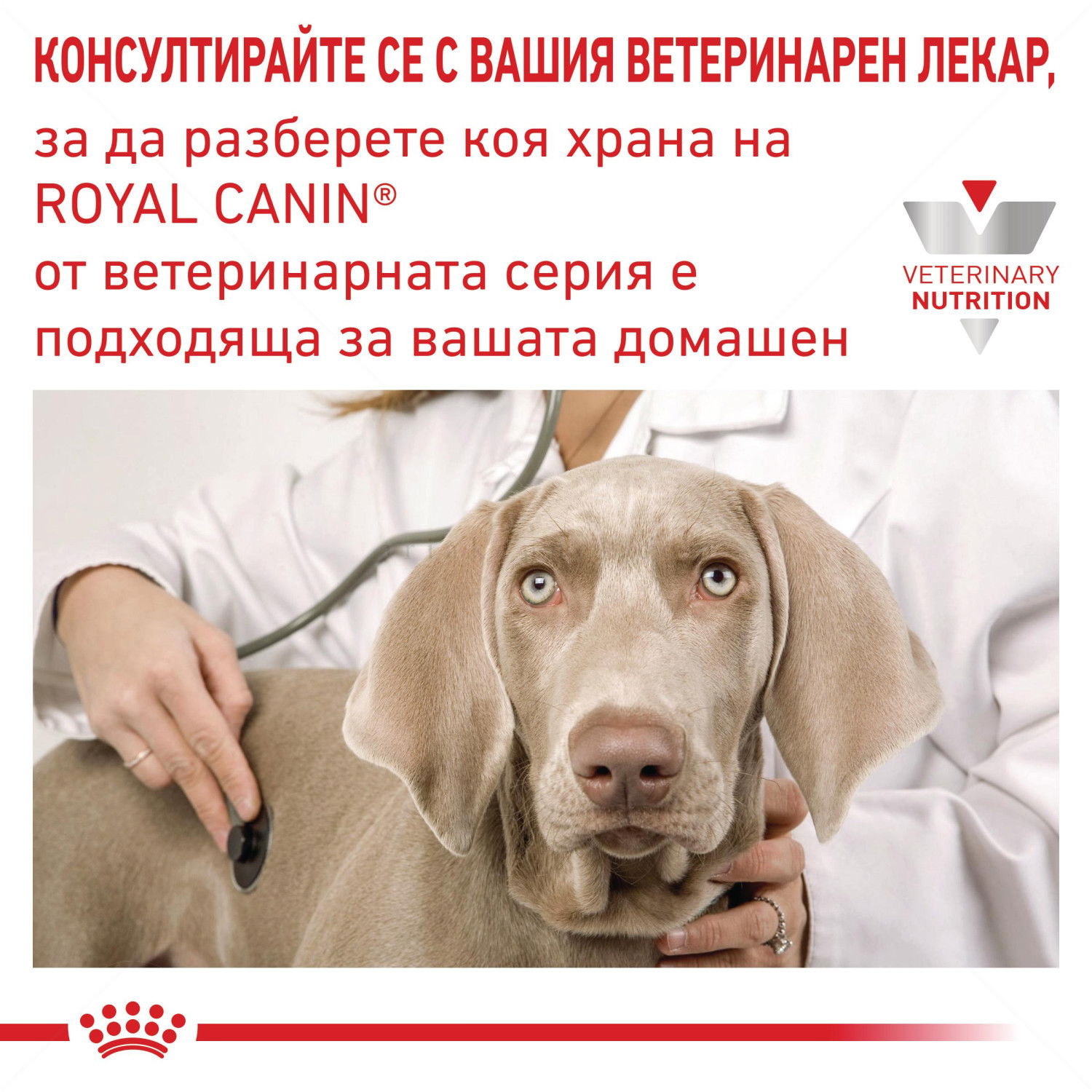 ROYAL CANIN Veterinary Dog Recovery 195 гр