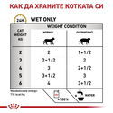 ROYAL CANIN Veterinary Cat Urinary S/O Moderate Calorie Pouch 85 гр