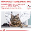 ROYAL CANIN Veterinary Cat Skin&Coat Pouch 85 гр