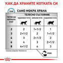 ROYAL CANIN Veterinary Cat Sensitivity Control Chicken Pouch 85 гр