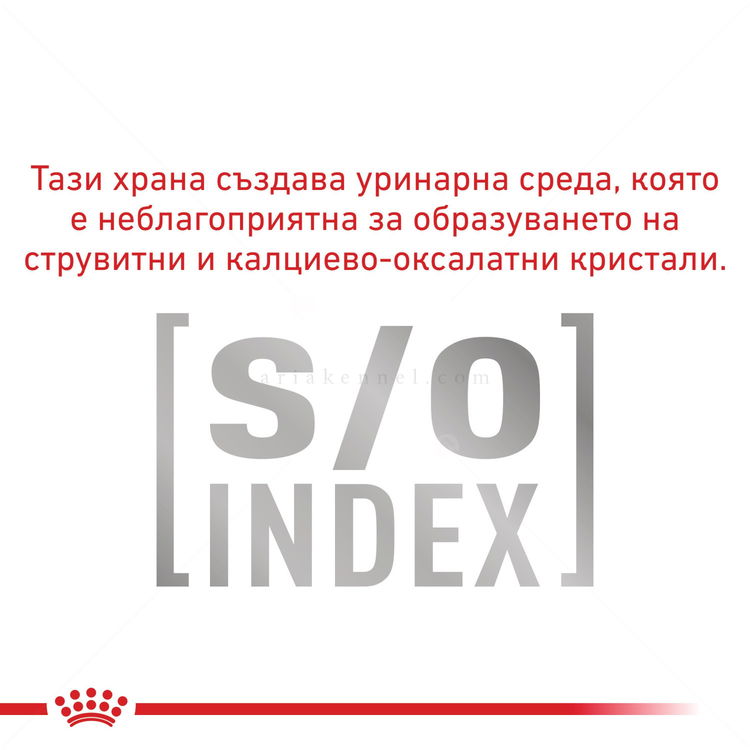 ROYAL CANIN Veterinary Cat Diabetic Pouch 85 гр