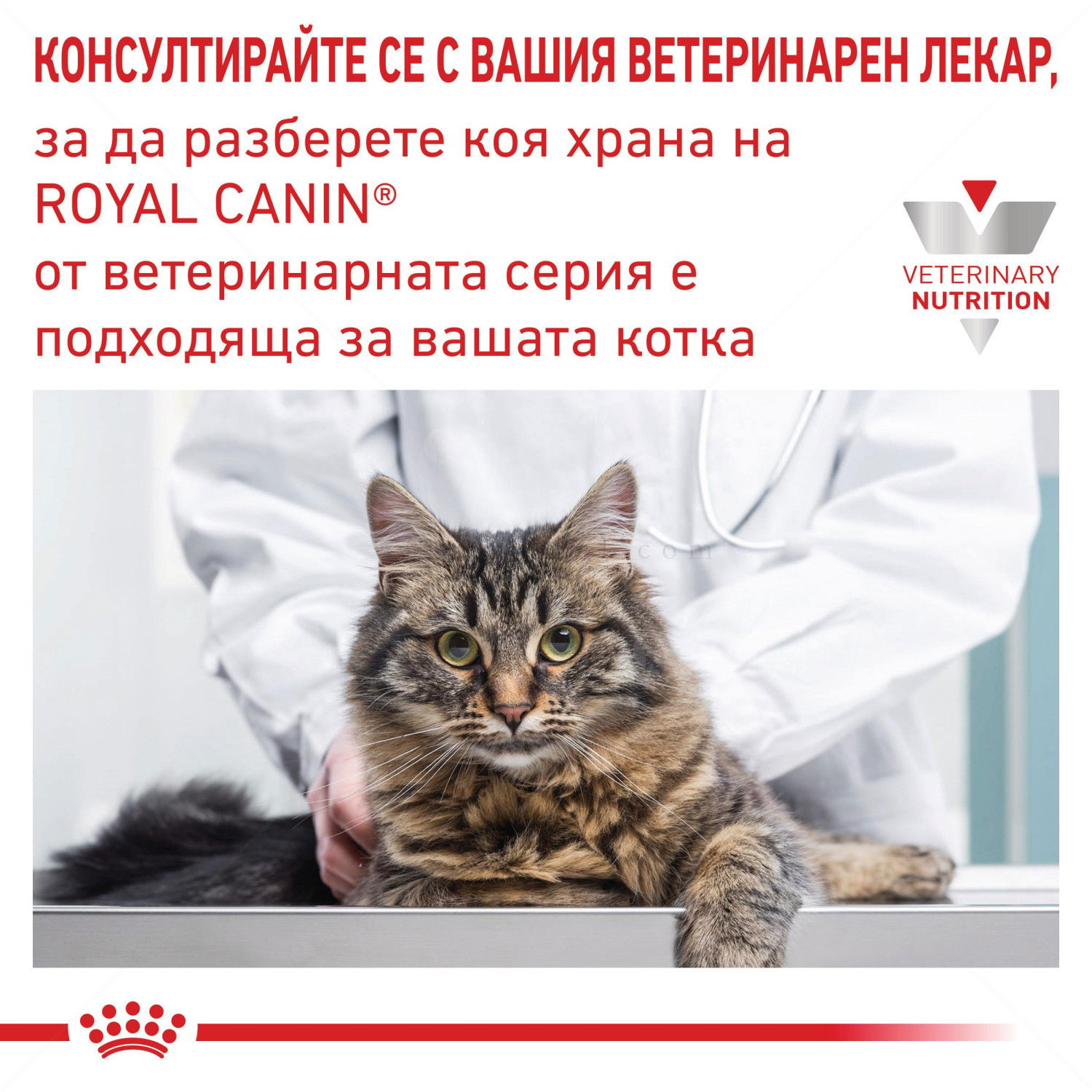 ROYAL CANIN Veterinary Cat Diabetic Pouch 85 гр