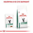 ROYAL CANIN Veterinary Cat Diabetic Pouch 85 гр