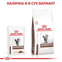 ROYAL CANIN Veterinary Cat Gastrointestinal Pouch 85 гр