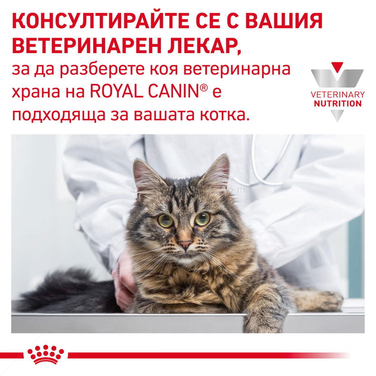 ROYAL CANIN Veterinary Cat Gastrointestinal Fibre Response Pouch 85 гр