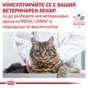 ROYAL CANIN Veterinary Cat Gastrointestinal Fibre Response Pouch 85 гр