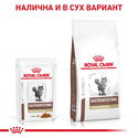 ROYAL CANIN Veterinary Cat Gastrointestinal Fibre Response Pouch 85 гр
